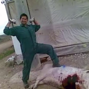 El escándalo de El Escobar en 2012: trabajador posando jactándose tras torturar a una cerda hasta la muerte.
